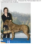 Tampere KV näyttelyn satoa aiemmilta vuosilta. Yhdistyksen pitkäaikainen puheenjohtaja Anne Woivalin ja Klara